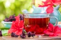 Red karkade hibiscus red sorrel tea in glass mug roselle flowers