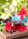 Red karkade hibiscus red sorrel tea in glass mug with dry tea custard Royalty Free Stock Photo