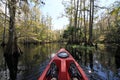 Red kayak on Fisheating Creek, Florida.