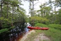 Red kayak on Fisheating Creek, Florida.