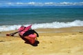 A red kayak on the beach of the Abel Tasman National Park. New Zealand, South Island