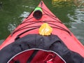 Red Kayak Boat With Orange And Green Water Bottle On Water