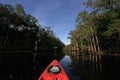 Red kayak on Fisheating Creek, Florida. Royalty Free Stock Photo