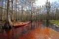 Red kayak on Fisheating Creek, Florida.