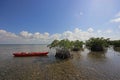 Red kayak tied to Mangoves on the Turtle Grass flats of Biscayne National Park, Florida.