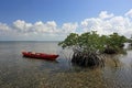 Red kayak tied to Mangoves on the Turtle Grass flats of Biscayne National Park, Florida.