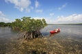 Red kayak tied to Mangoves on the Turtle Grass flats of Biscayne National Park, Florida.