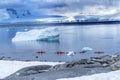 Red Kayaks Iceberg Snow Mountains Blue Glaciers Damoy Point Antarctica