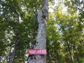 Red keep off sign on tree trunk Royalty Free Stock Photo