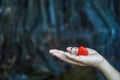 Red keys that are heart shaped, ideas, love, Valentine`s Day Royalty Free Stock Photo