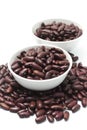 Red kidney bean Royalty Free Stock Photo