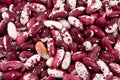 Red kidney bean Royalty Free Stock Photo