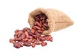 Red kidney bean cranberry in Royalty Free Stock Photo