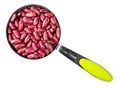 Red kidney bean in measuring cup cutout Royalty Free Stock Photo