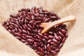 Red kidney bean seed in sack with spoon. Royalty Free Stock Photo