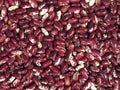 Red kidney beans Royalty Free Stock Photo