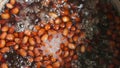 Red kidney beans brewed in boiling water.