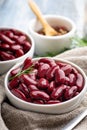 Red kidney beans from can in white bowl Royalty Free Stock Photo