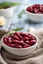 Red kidney beans from can in white bowl Royalty Free Stock Photo