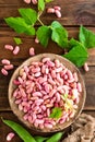 Red kidney beans. Haricot bean Royalty Free Stock Photo