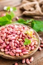 Red kidney beans. Haricot bean Royalty Free Stock Photo