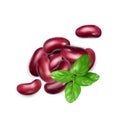 Red Kidney Beans Isolated