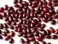 Red kidney beans isolated with white background stock image. Royalty Free Stock Photo