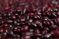 Red kidney beans macro background. Royalty Free Stock Photo