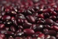 Red kidney beans macro background. Royalty Free Stock Photo