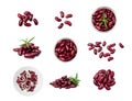 Red Kidney Beans Set Isolated