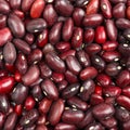Red kidney beans texture background Royalty Free Stock Photo
