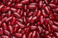 Red kidney beans texture, Top view, food background. Royalty Free Stock Photo