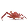 Red King Crab Kamchatka Isolated On White Background. 3D Illustration Royalty Free Stock Photo