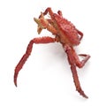 Red King Crab Kamchatka Isolated On White Background. 3D Illustration Royalty Free Stock Photo