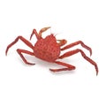 Red King Crab Kamchatka Isolated On White Background. 3D Illustration