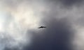 Red kite flight through stormy skies Royalty Free Stock Photo