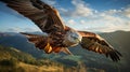 The Red Kite Majesty in Flight