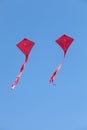 Red kites flying in a blue sky Royalty Free Stock Photo