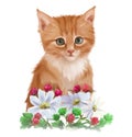 Red kitten and garden flowers. Watercolor drawing Royalty Free Stock Photo