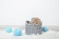 Red kitten nibbles a basket. Is being played. Royalty Free Stock Photo