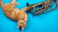 Red kitten playing with golden trumpet Royalty Free Stock Photo