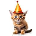 Red kitten in a yellow hat on a white background Royalty Free Stock Photo
