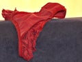 Red panties on the couch. Royalty Free Stock Photo