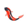 red koi fish carp cartoon vector illustration Royalty Free Stock Photo