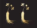 Red korean or chinese ginseng root illustration.