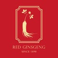 Red korean or chinese ginseng root illustration.