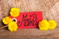 Red Label, Dandelion, Calligraphy Danke Mama Means Thank You Mom