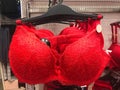 Red lace bra hanging in underwear store Royalty Free Stock Photo