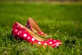 Red ladies shoes Royalty Free Stock Photo