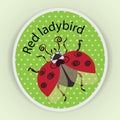 Red ladybird in flight. Sticker.